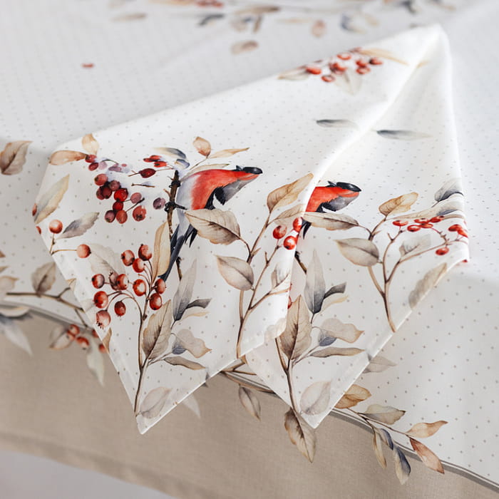 Набор Set-4 салфеток "Пернатые истории"