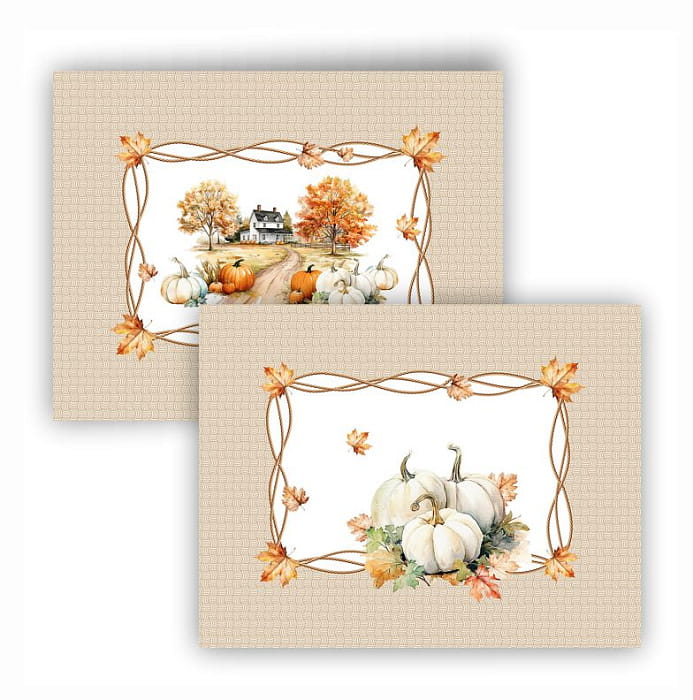 Набор  плейсматов "Терра"