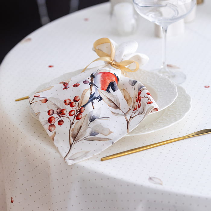 Набор Set-4 салфеток "Пернатые истории"