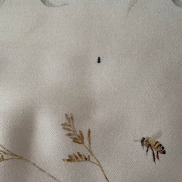 СОРТ 2 Скатерть 165х300 см Васильки"/2