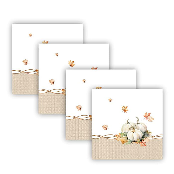 Набор Set-4 салфеток "Терра"