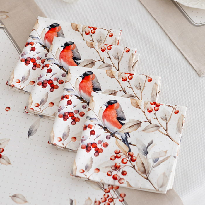 Набор Set-4 салфеток "Пернатые истории"